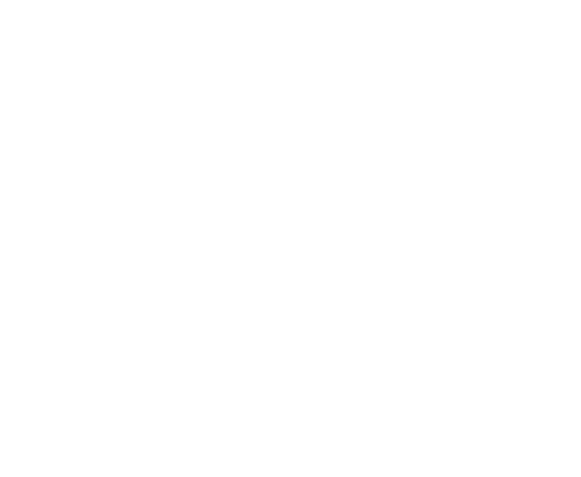 bag city
